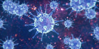 coronavirus viruses false colour image