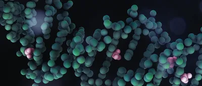 Variants in DNA