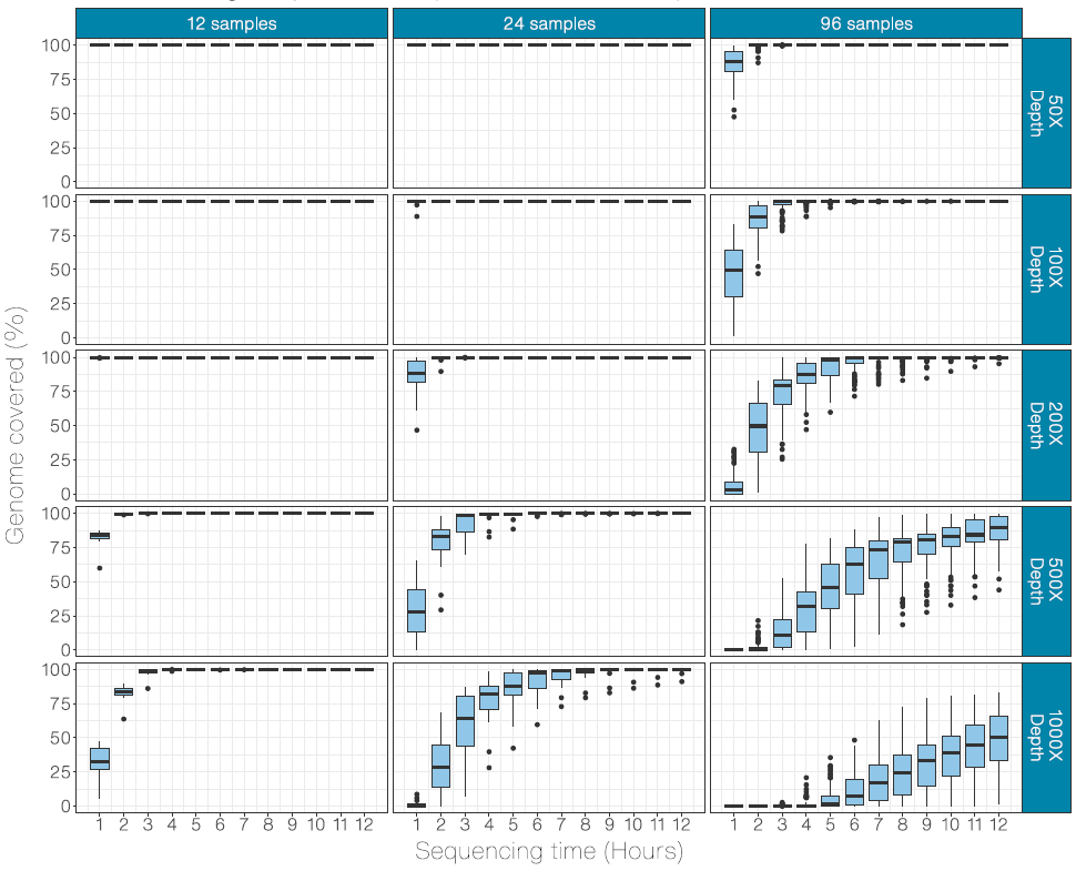 Midnight 1 2kb amplicons rbk 12 24 96 samples