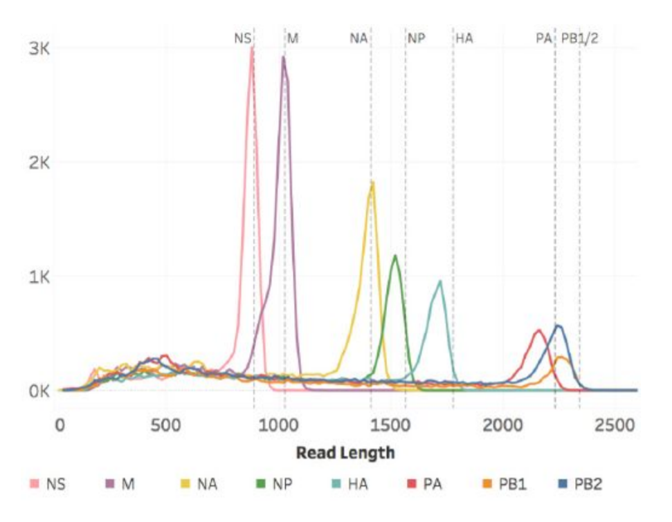 Flu RNA