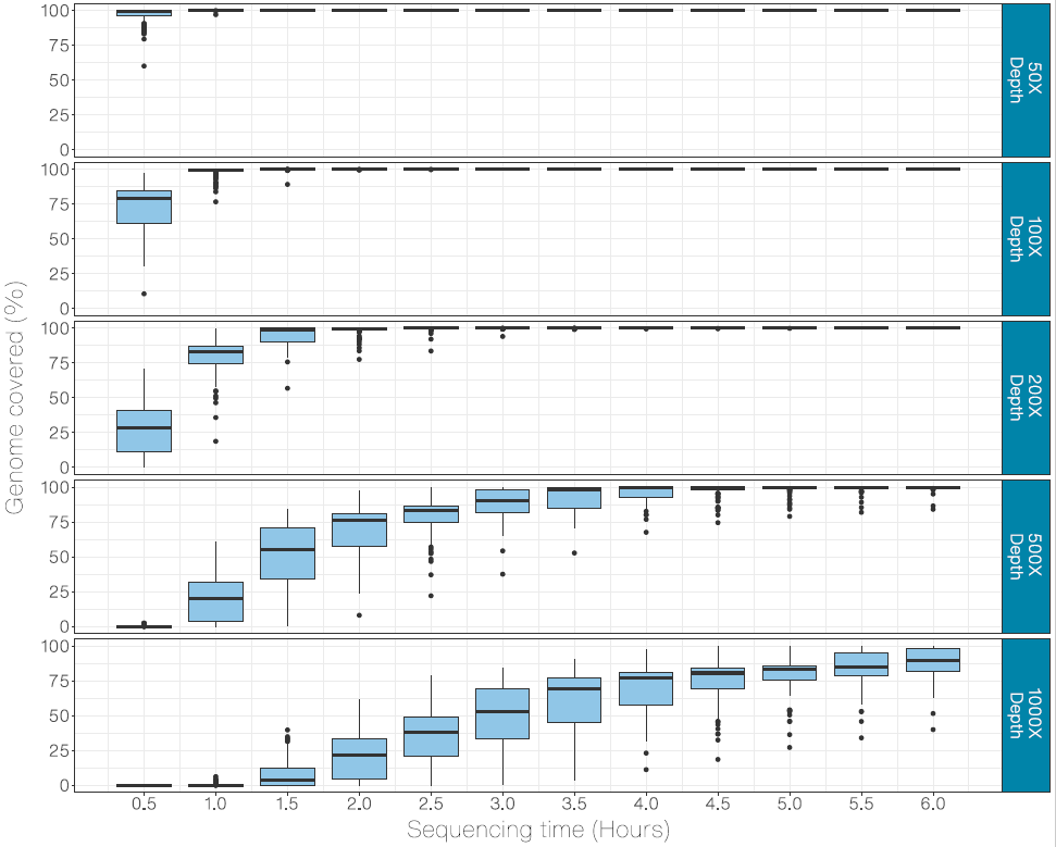 Midnight 1 2kb amplicons 96 samples promethion