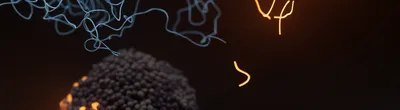 Cancer cell