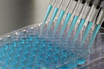 Multi channel pipette