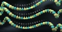 Resolving challenging medically-relevant genes using nanopore sequencing