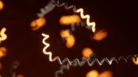 Workflow overview: direct RNA sequencing