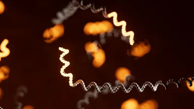 Detecting isoforms and modifications with PCR-free, direct RNA nanopore sequencing