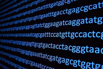 DNA bases