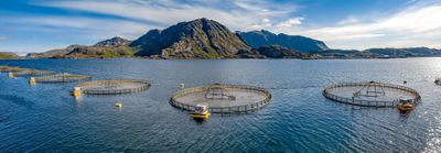 Metabarcoding for authentication of fish species in surimi-based products by Nanopore sequencing
