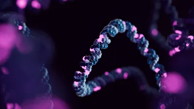 A 3D render of a strand of Human DNA