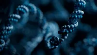 Workflow overview: AAV sequencing