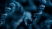 Application note: library preparation using epMotion and Oxford Nanopore Technologies Native Barcoding Kit 96 V14