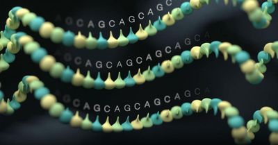 Structural and epigenetic profiling of D4Z4 arrays in FSHD using Oxford Nanopore sequencing