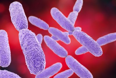Informing infectious disease interventions with genomics during big events