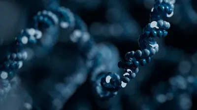 DNA bases 