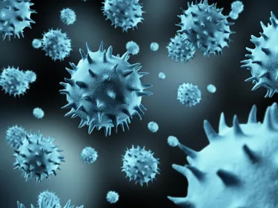 Viruses