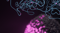 Workflow overview: tumour-normal sequencing